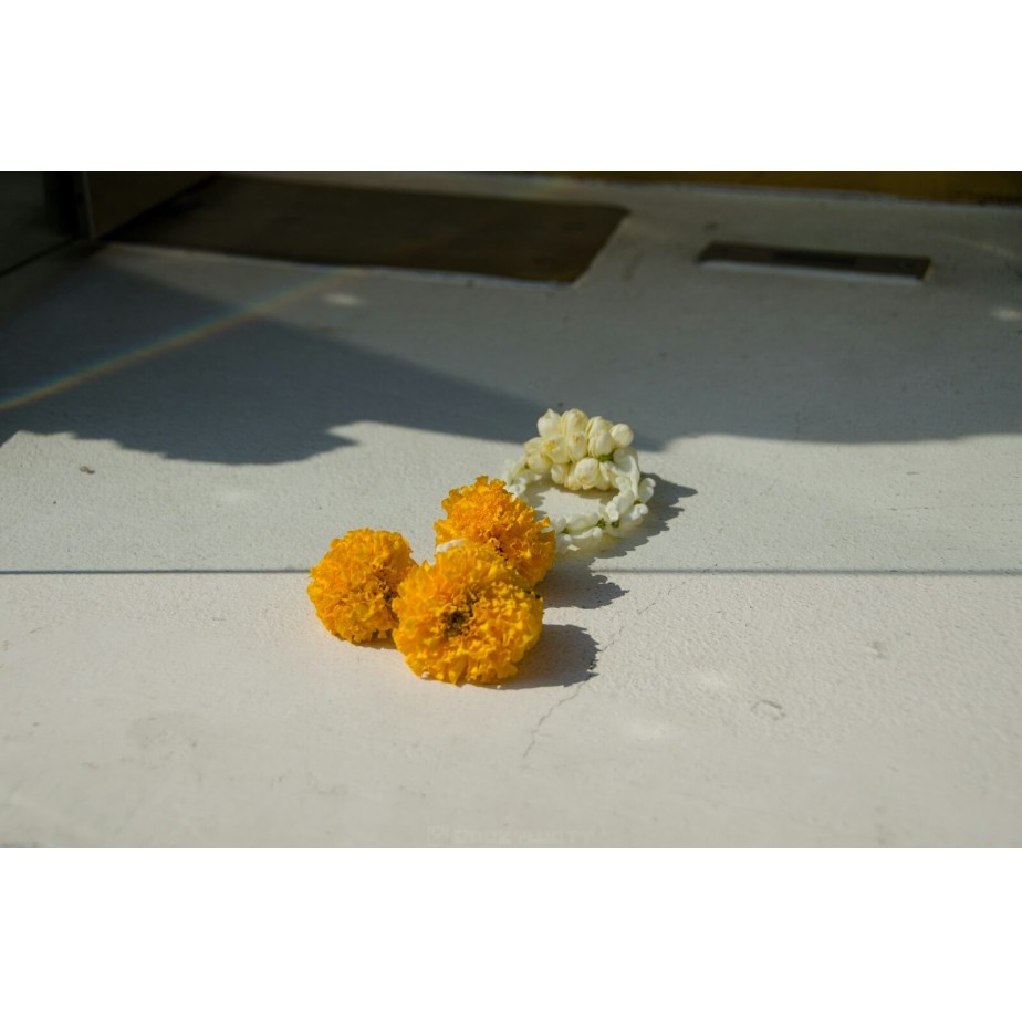 a couple of flowers that are sitting on a table