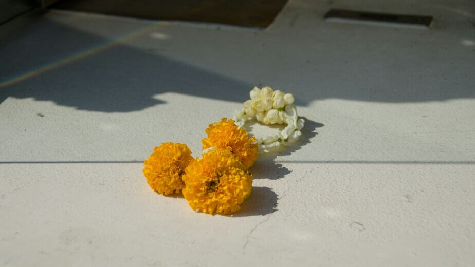 a couple of flowers that are sitting on a table