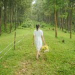 Slowness as a Form of Power
