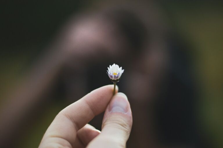selective focus photography of white-petaled flower
